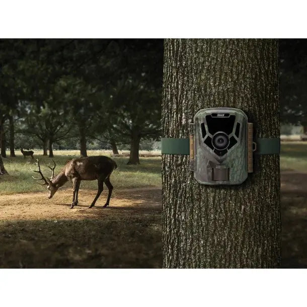 Coleman® XtremeTrail 20.0-Megapixel 1080p HD Camera Cross-Current Precision Armory